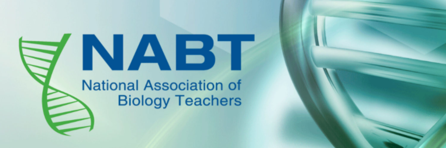 Teacher Award and Professional Development Opportunities - STEM Scholar ...